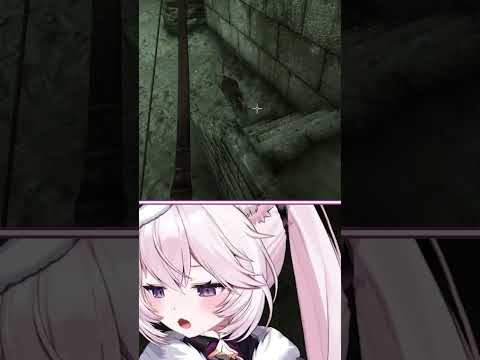 Nyanners has an epic encounter in Oblivion