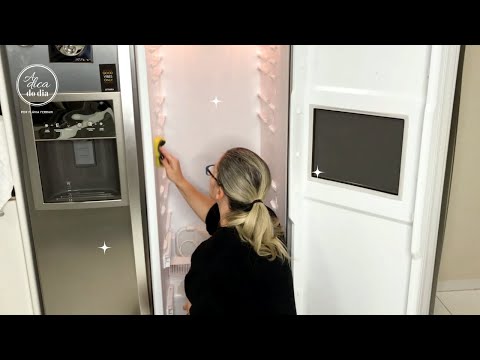 COMO LIMPAR GELADEIRA | FLÁVIA FERRARI