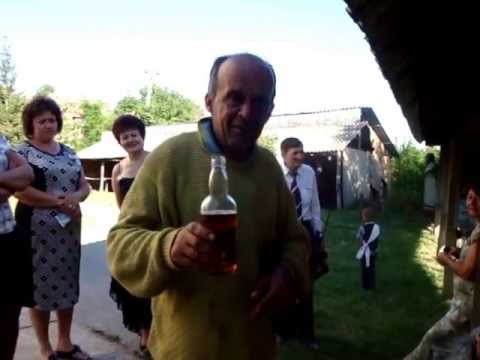 Vulpoiul de la Săulești