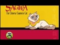 PBS Kids Promo Sagwa The Chinese Siamese Cat 2001
