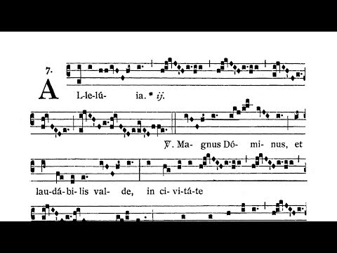Dominica VIII post Pentecosten (VIII Sunday after Pentecost) - Alleluia (Magnus Dominus)