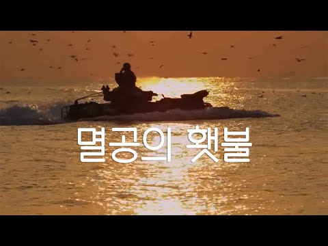 아이콘
