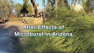 After Effects of Microburst in Arizona | Curly Cami Channel 