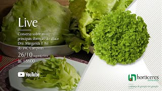 Conversa sobre as principais doenças do alface - Dra Margarida F. Ito do IAC