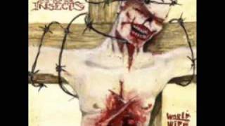 God Among Insects - Chainsawed Christians  HQ