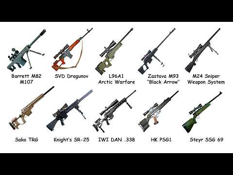 Alle gängigen Scharfschützengewehre erklärt