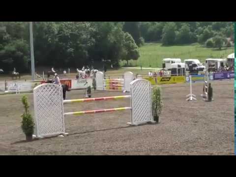 12y. Gelding/Wallach v. Warkant - Erfolgreich bis 1,40m