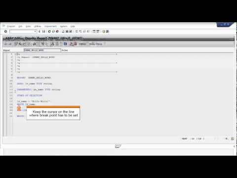How to create ALV with OOPS | Free SAP ABAP Training Video Part 2