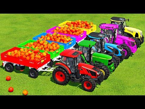 LOAD ORANGES & TRANSPORT BATTLE WITH ZETOR, JOHN DEERE, MCCORMICK & LANDINI TRACTORS - FS22