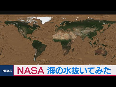 あなたの池の水は緑色ですか?こうやってきれいな水を確保します トピックス