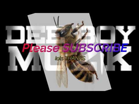 TULIA HATIX FT DEEBOYBEE