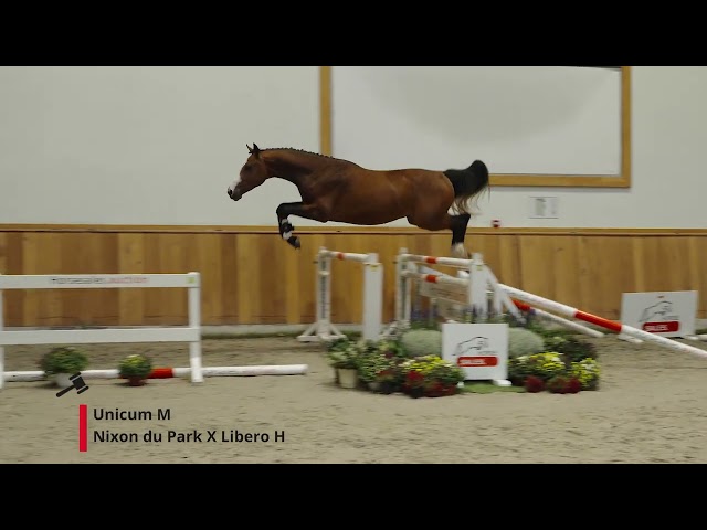 Unicum M