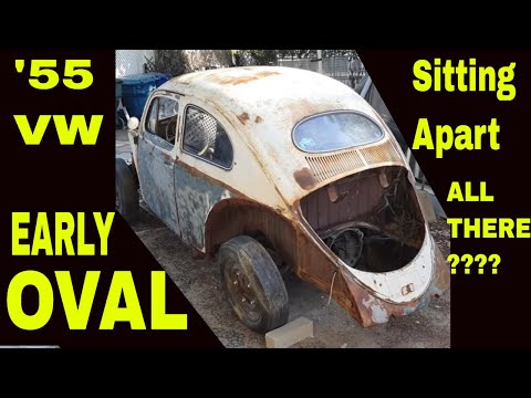 Abandoned EARLY 1955 VW OVAL WINDOW BUG Volkswagen bug rescue forgotten in farm field semaphore car