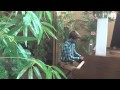 John plays "The Trees" (from "Medicine Man") in a RAINFOREST at the BYU Skyroom Restaurant!!