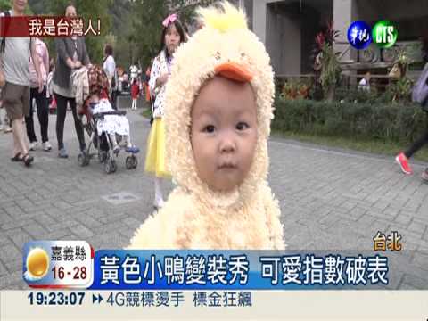 動物園歡度萬聖節 黃小鴨湊熱鬧