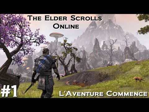 the elder scrolls online pc test