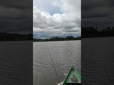 Alta floresta mato grosso alargador do Paranaíba