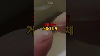 Download lagu 소름 돋는 거울의 정체 mp3