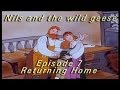 Nils & the Wild Geese, Chapter 7 Returning Home