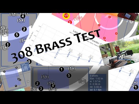 Lapua 308 vs Lapua 308 Palma Brass - The Test