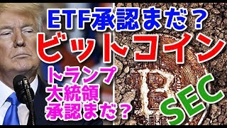 ビットコイン ETFを承認しないSEC 解決策がある！あっちゃん仮想通貨ニュース