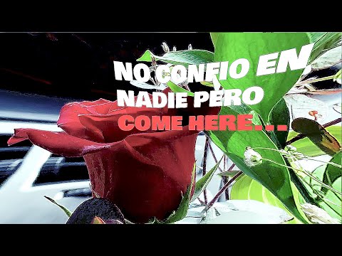 COME HERE - El Yerman + Cornho + Adr0