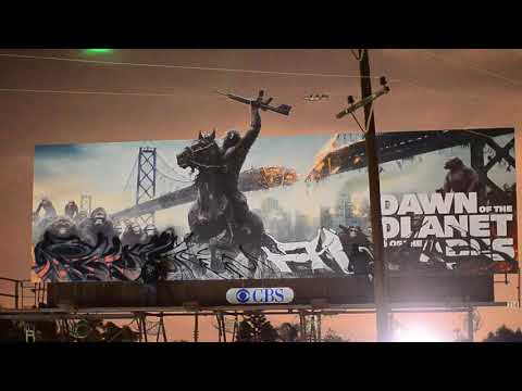 Augs (MSK) and Buge (BAMC) Go Apeshit