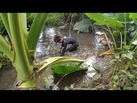 SE02EP117 Part 2 - PAHIRAPAN sa MAKAKATING mga BAJANG | San Pablo City, Laguna