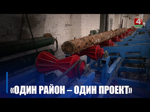 Инициатива «Один район – один проект» развивается в районах Гомельщины видео
