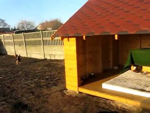 Kaliskie Schronisko dla Bezdomnych Zwierząt: GERIATRIA I