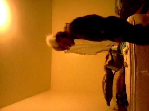 I was dared!!    - Bloody Beetroots vs Deadmau5