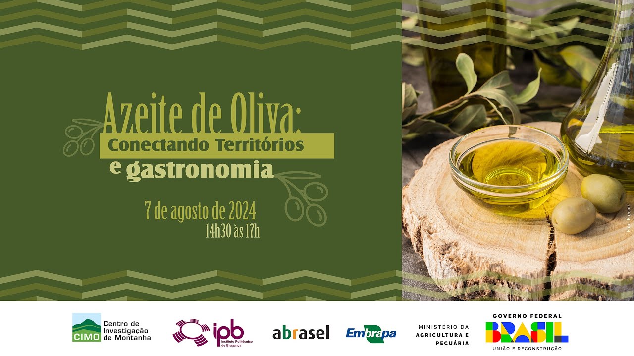 Azeite de Oliva: Conectando Territórios e Gastronomia