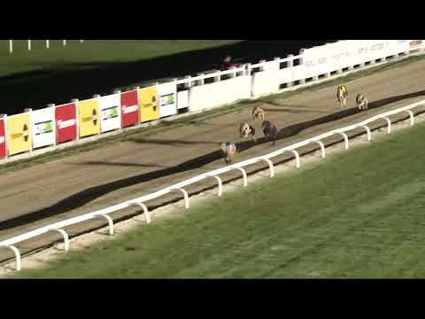 2022.05.06. 06. futam - Kincsem Food Truck Show