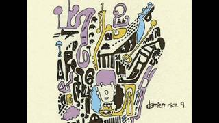 Damien Rice - Me, My Yoke and I