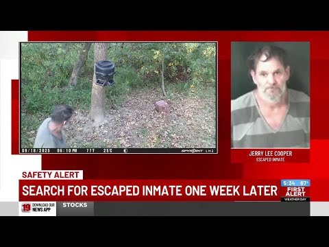 Search for escaped attempted murder suspect in second week