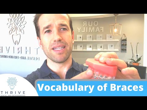 Bands/Colors/Power chains!? Anatomy of Braces.