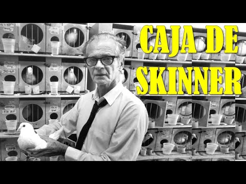 La Caja de Skinner | Los Experimentos Más "Perturbadores" #1 | Pedagogía MX