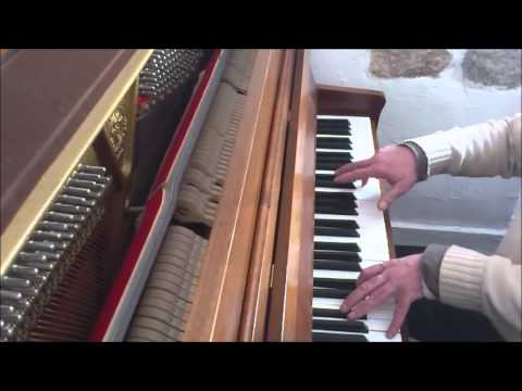 Piano Roy - Sauter Carus