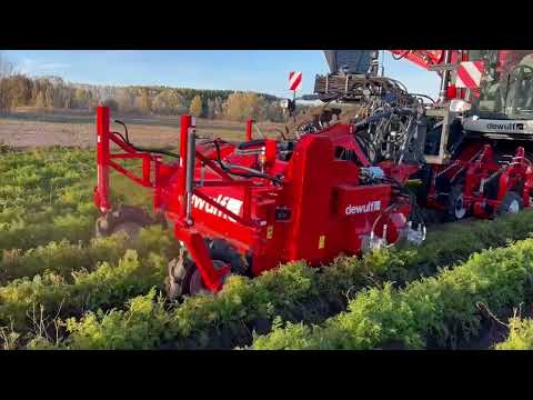 Dewulf RA3060 in Action - Répaszedés profi szinten!