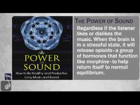 Distraction Dilemma !