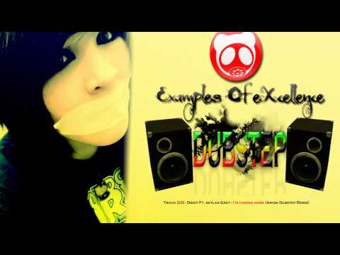 Diddy Ft. Skylar Grey - Coming Home ( Arion Dubstep Remix )