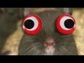 Funny Dramatic Mouse Lustige Mäuse