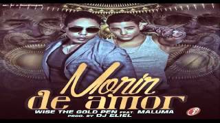 Wise "The Gold Pen" Ft  Maluma -  Morir De Amor ♥ REGGAETON ROMANTICO 2014 ♥