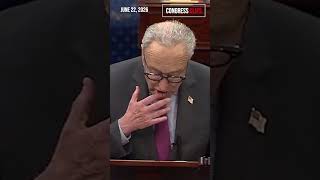 "America Needs a President, not a Pool Boy": Schumer Rips Trump’s Reflecting Pool Obsession