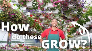 How Do Nurseries Grow High Quality Plants?