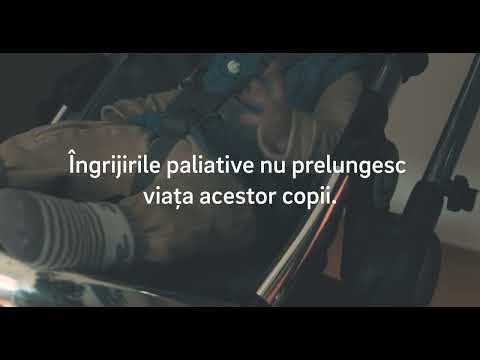 Daruieste Lumina, Craciun 2023: Centrul Lumina din Bacau