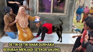 Download lagu 🔴 VIRAL!! DIVINE RETRIBUTION FOR DISOBEDIENT CHILD, TURNS INTO A DOG AND SHOCKS THE VILLAGERS mp3 Download lagu 🔴 VIRAL!! DIVINE RETRIBUTION FOR DISOBEDIENT CHILD, TURNS INTO A DOG AND SHOCKS THE VILLAGERS mp3