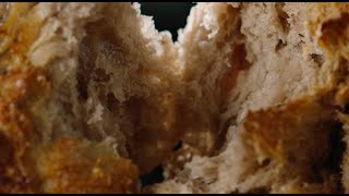 Fisher & Paykel Food Care: Perfect Sourdough