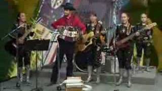 El wiri wiri y el Camaleon