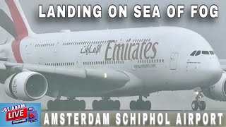 Welkom bij Amsterdam vliegtuig spotten live in dikke mist Nul zicht met JOE ADAM Amsterdam op LIVE SEA OF FOG Aankomsten op Amsterdam Airport